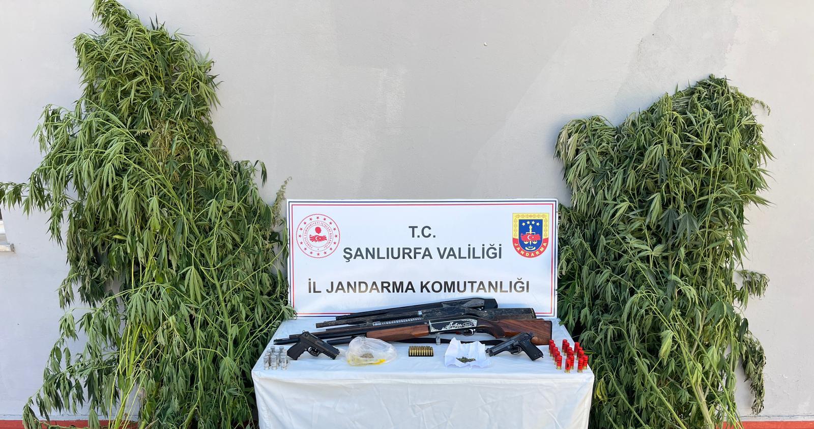 Zehir Tacirlerine Dev Operasyon!