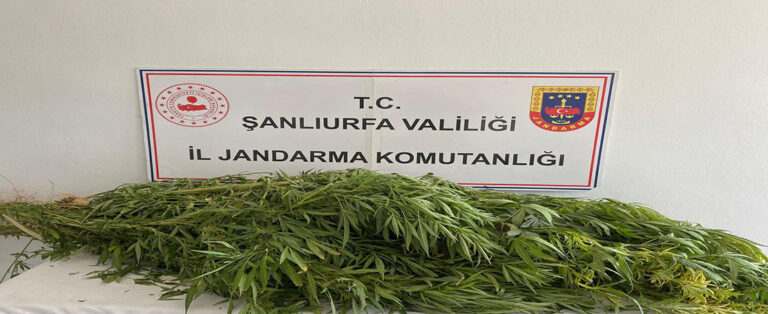 Zehir Tacirlerine Geçit Yok!