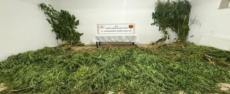 Birecik’te Zehir Tacirlerine Operasyon!