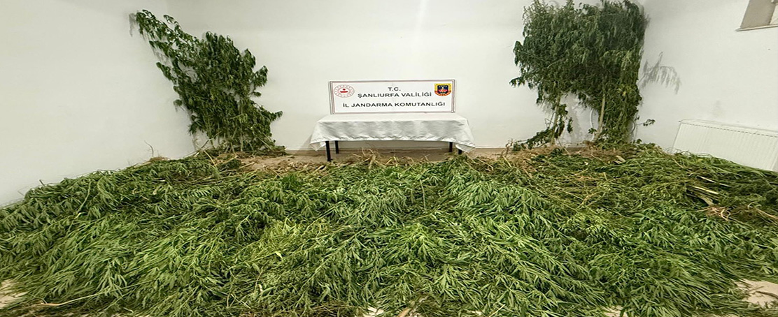 Birecik’te Zehir Tacirlerine Operasyon!