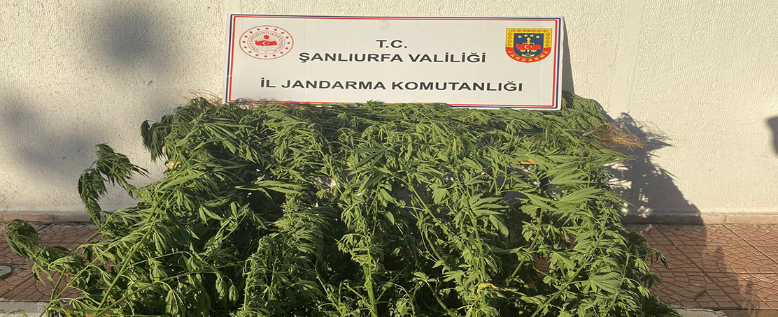 Siverek’te Zehir Tacirlerine Operasyon!