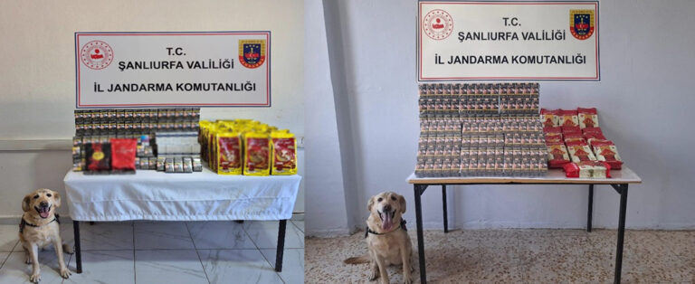 Sigara Kaçakçılığına Geçit yok!