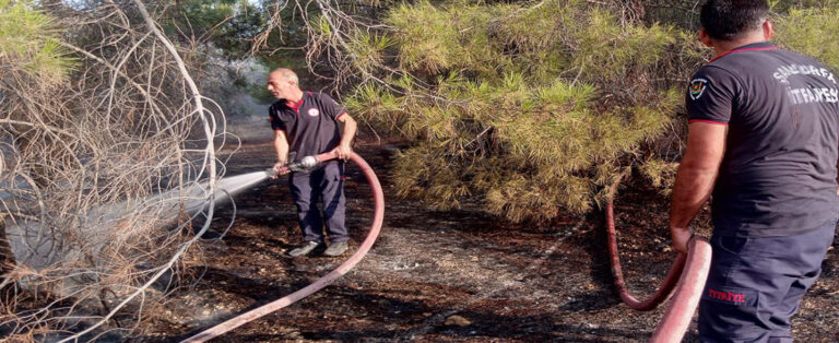 Ormanlık Alanda Yangın Çıktı!
