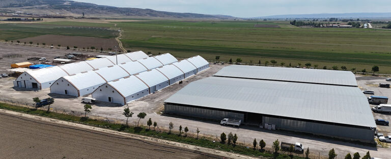 Hayvan Pazarı Yeniden Açıldı!