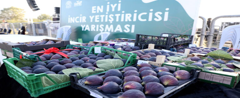 İncir Festivali 14 Eylül’de Başlıyor!
