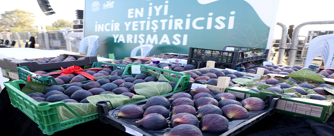 İncir Festivali 14 Eylül’de Başlıyor!