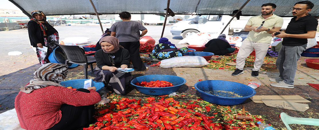 Mevsimlik İşçilere Sağlık Molası!