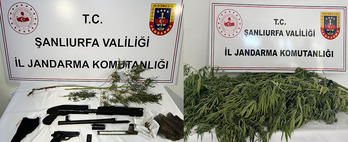 Zehir Tacirlerine Dev Darbe!