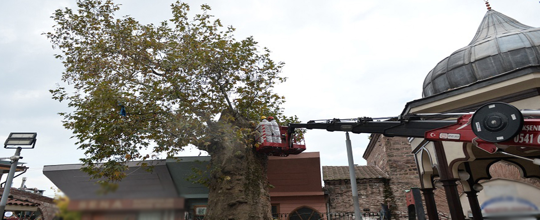 Tarihin Tanıkları Büyükşehir Koruması Altında