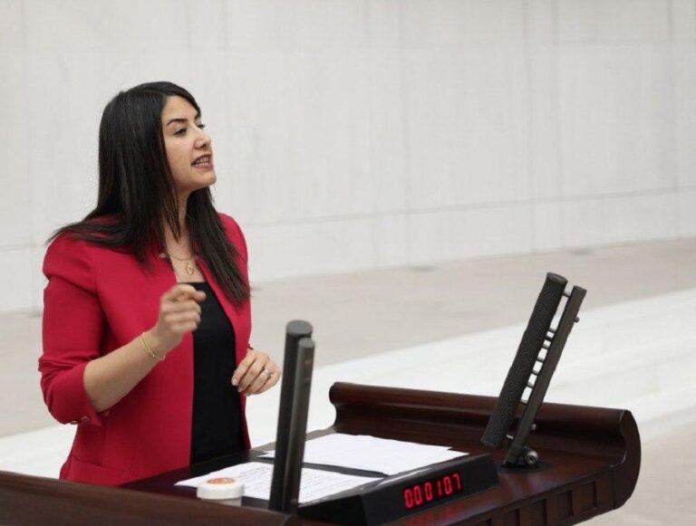 Dilan Kunt Ayan: “Bu Artık Toplumsal Bir Krizdir”