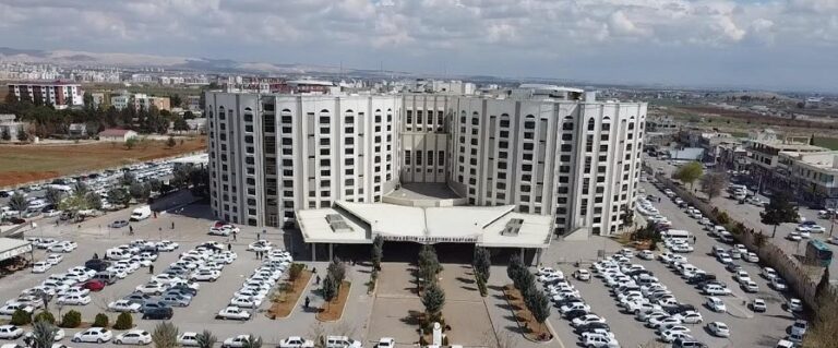 Polikistik Böbrek Hastalığına Karşı Uyarı: “Erken Tanı Hayat Kurtarır”