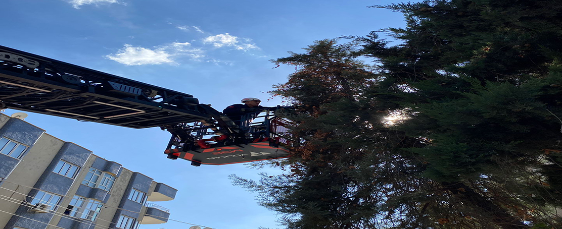 Koca Yürekli Öğretmen Yavru Kediyi Kurtardı