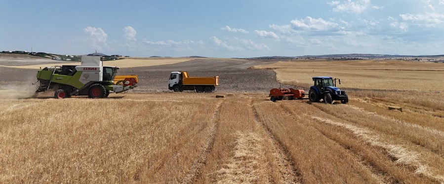 Eskişehir’de Tarımın Yol Haritası Tartışılacak