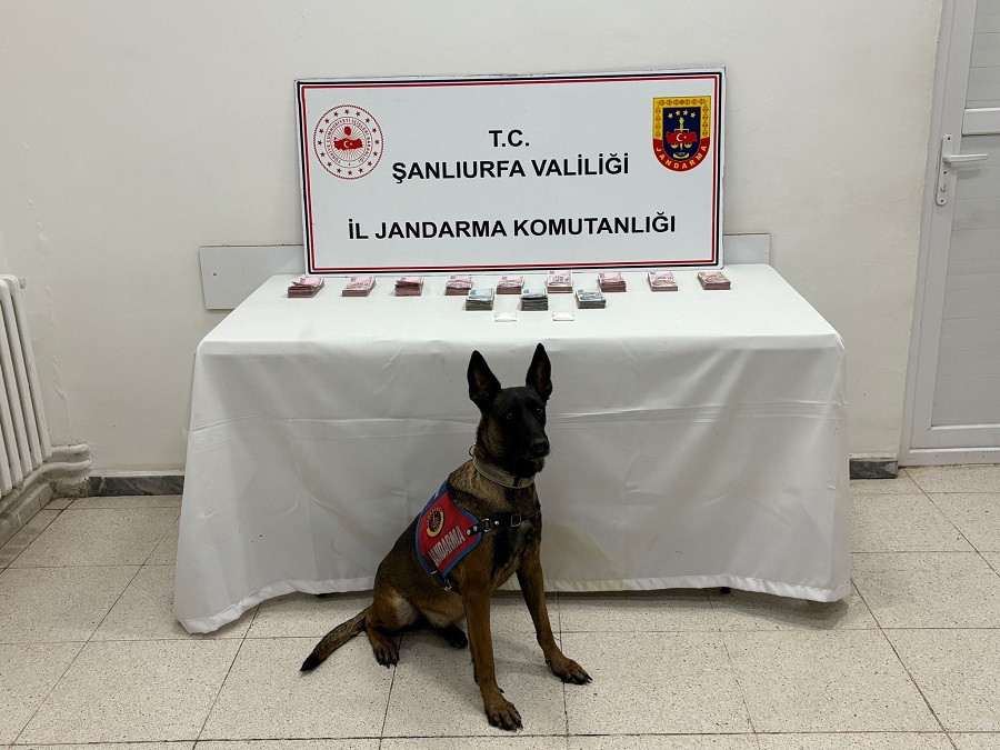 Şanlıurfa’da Uyuşturucu Operasyonu: 210 Bin TL ve Kokain Ele Geçirildi