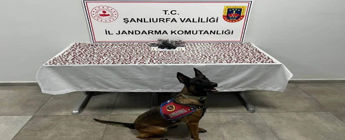 Şanlıurfa’da Uyuşturucu ve Silah Operasyonu: 2 Gözaltı