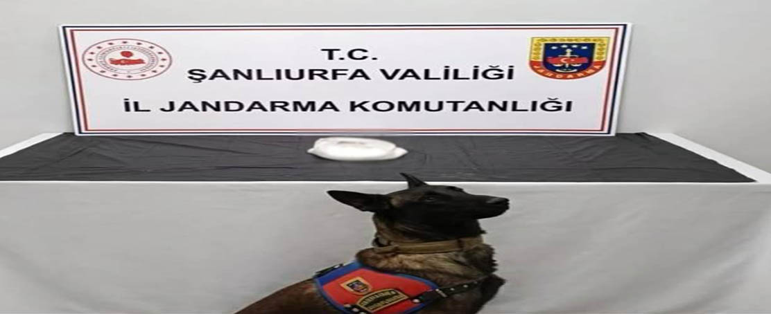 Şanlıurfa’da Jandarmadan Kritik Operasyon: 2 Şüpheli Hakkında İşlem Başlatıldı