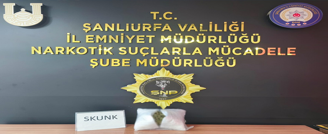 Şanlıurfa’da Narkotik Çalışmaları Sonuç Verdi: 1 Tutuklama