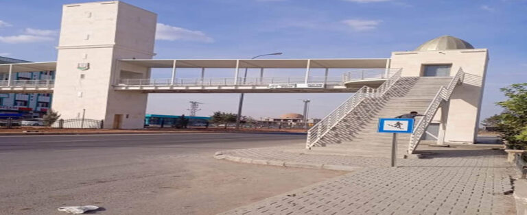 Vatandaş Tepkili: “Üst Geçit Var Ama Kullanılamıyor”