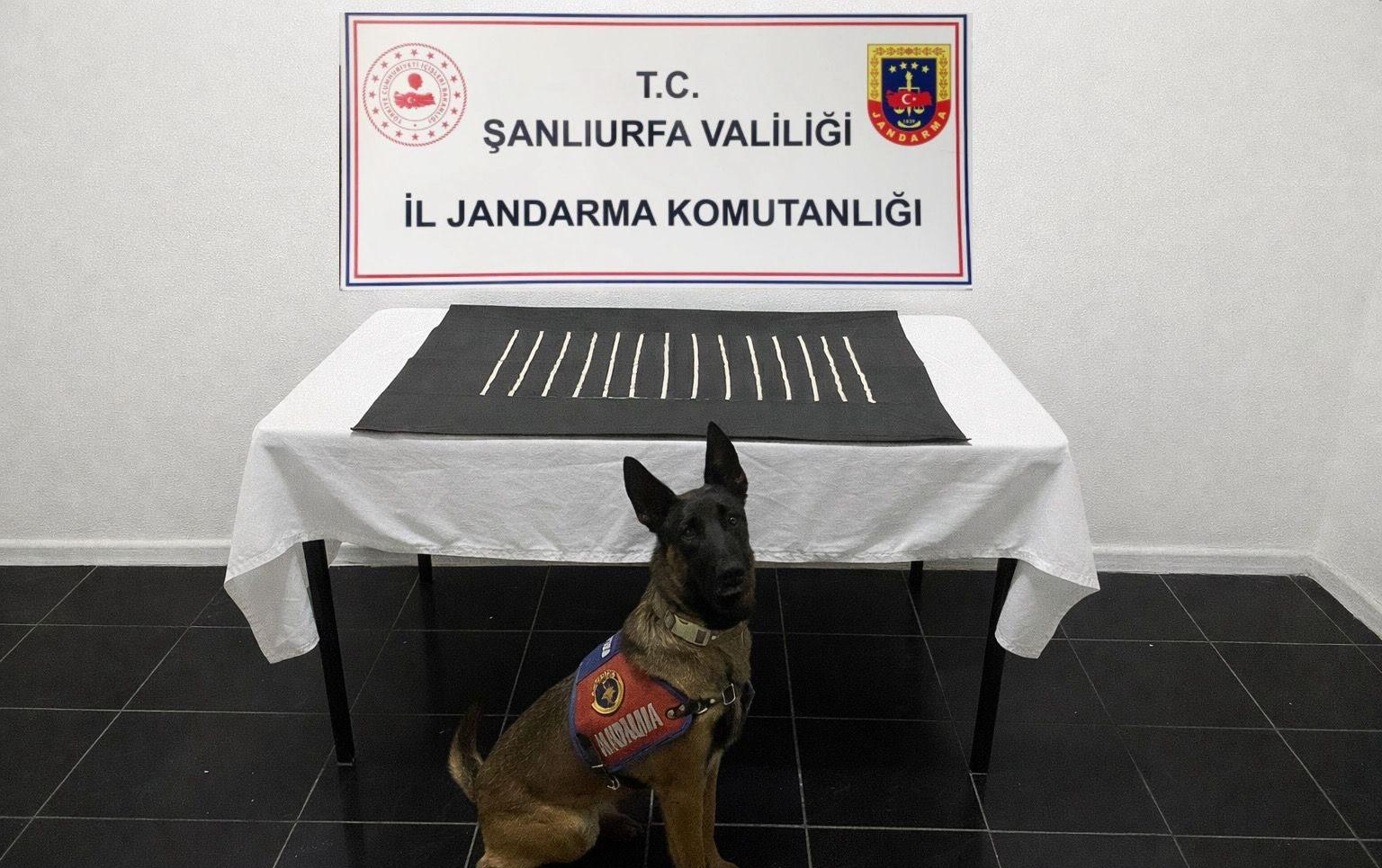 Harran’da Narkotik Operasyonu