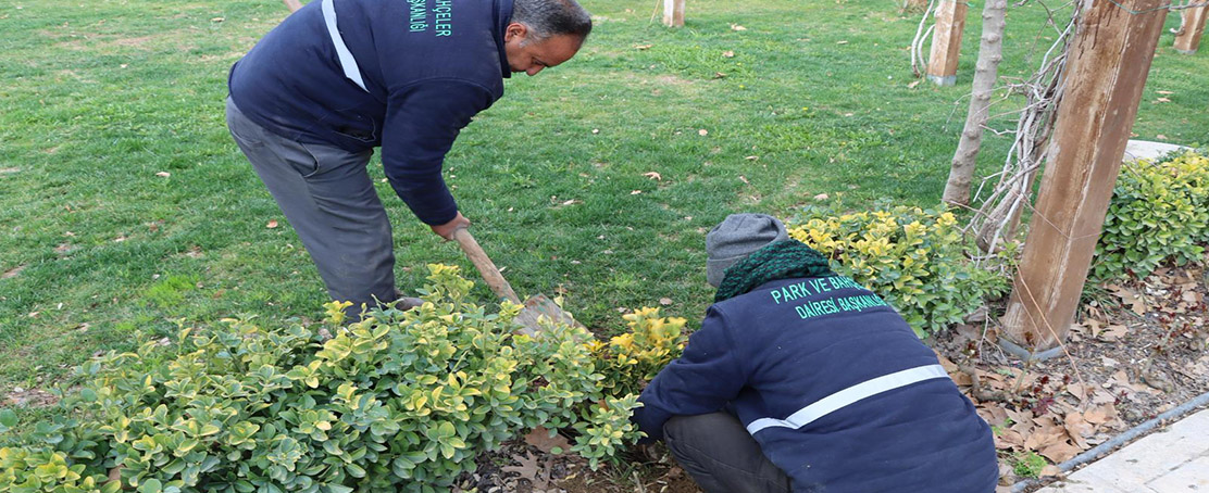 Ağaç Ve Bitki Dikimleri Hızlandırıldı!