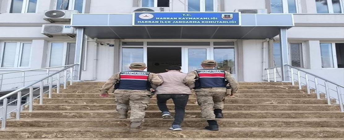 Jandarma’dan Hırsızlık Operasyonu!