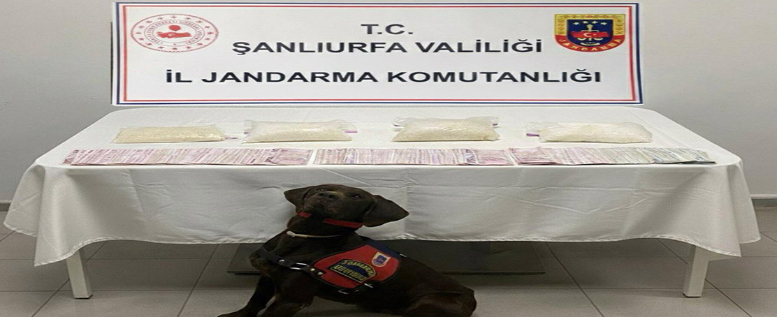 Jandarma’dan Uyuşturucu Operasyonu!