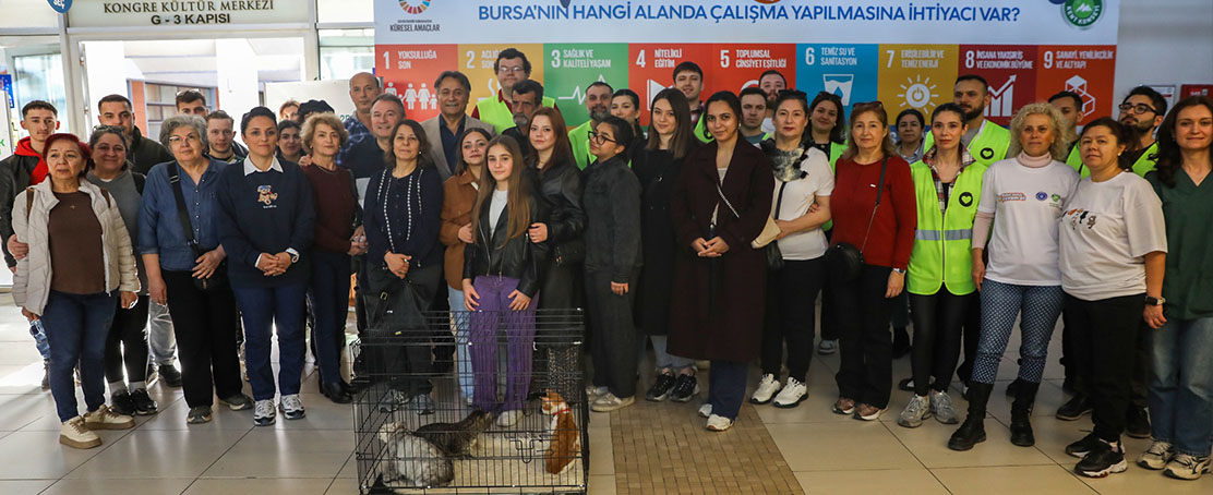 Sokak Hayvanlarına Sıcak Barınak!