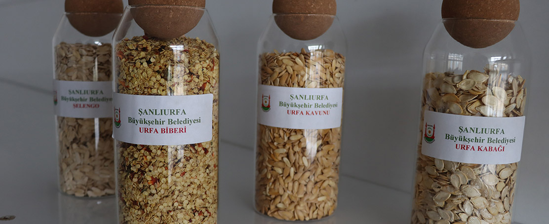 Ata Tohumları Çiftçilerle Buluşuyor!