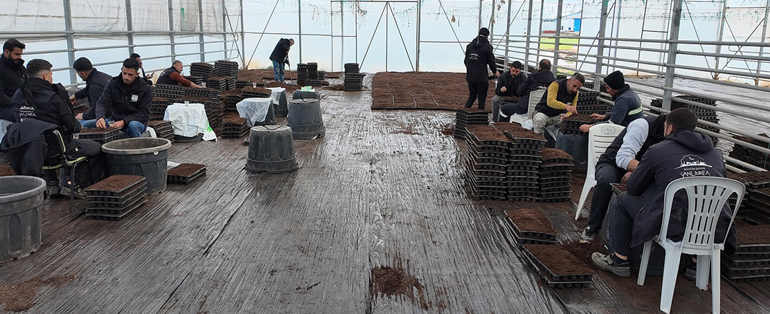 Büyükşehir Belediyesi 1 Milyon Fide Üretiyor!