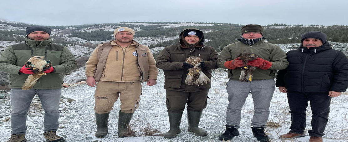 Yaban Hayatına Umut!