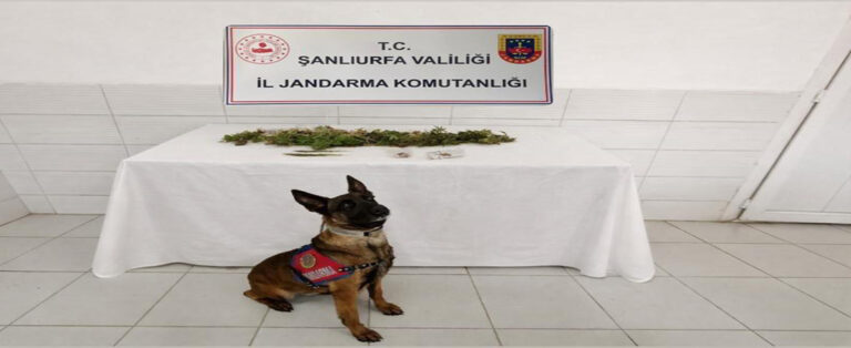 Jandarma’dan Uyuşturucu Operasyonu!