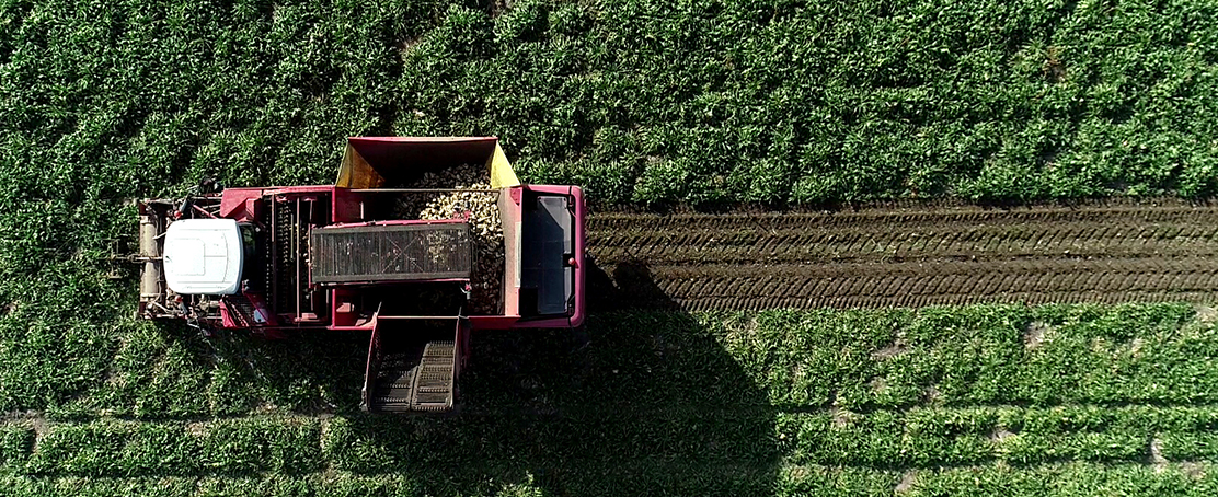 Türk Şirketi, Batı Afrika’da Tarım Üssü Kuruyor!