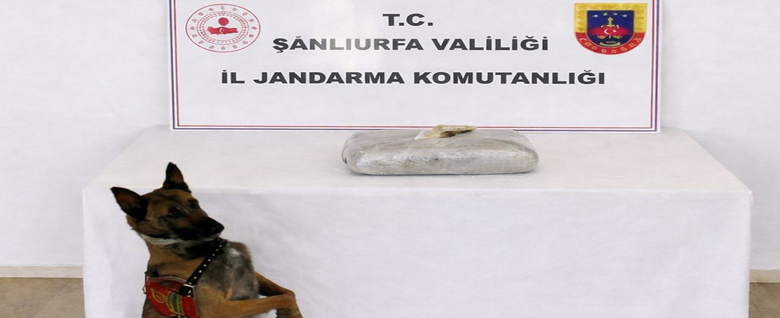 Birecik’te Uyuşturucu Operasyonu: 1 Kilo 222 Gram Esrar Ele Geçirildi!