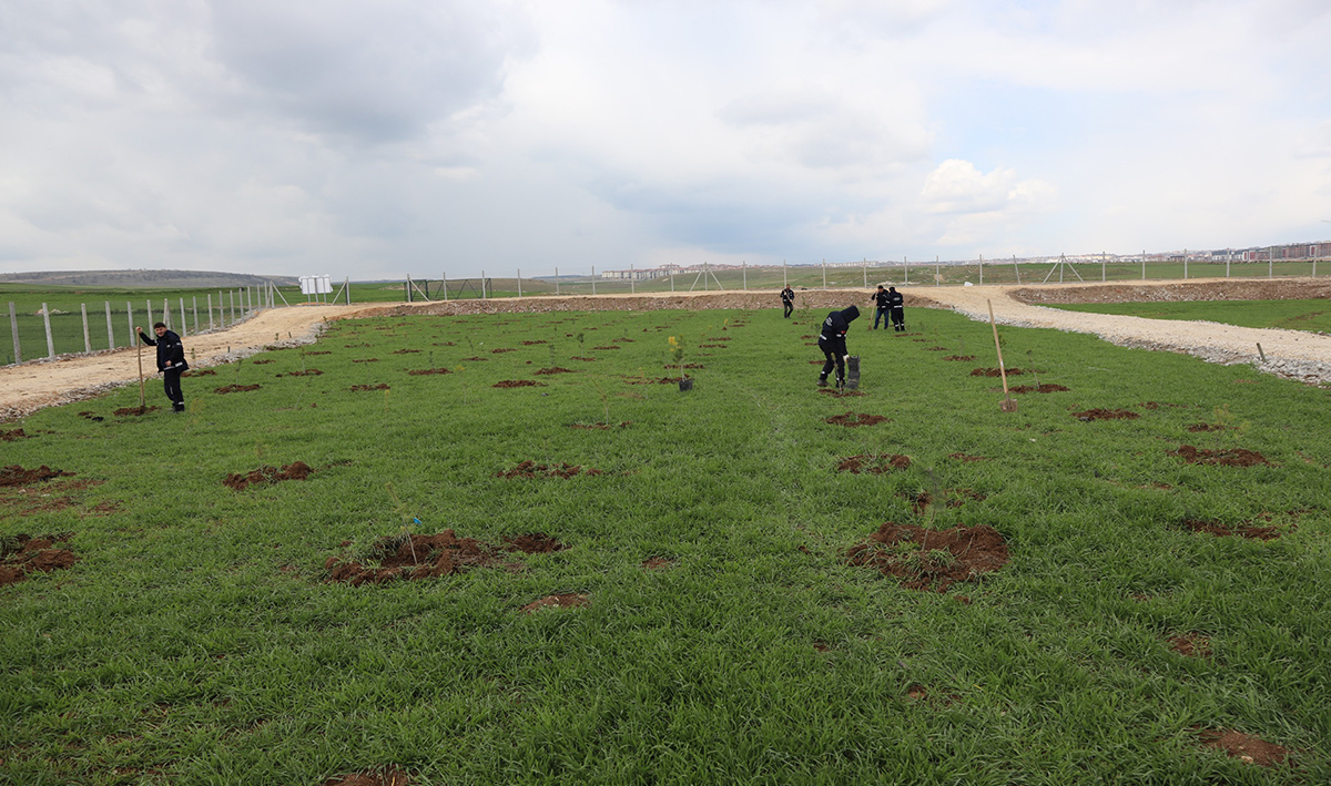Fidanlar Kent Korosunda Hayat Buldu!