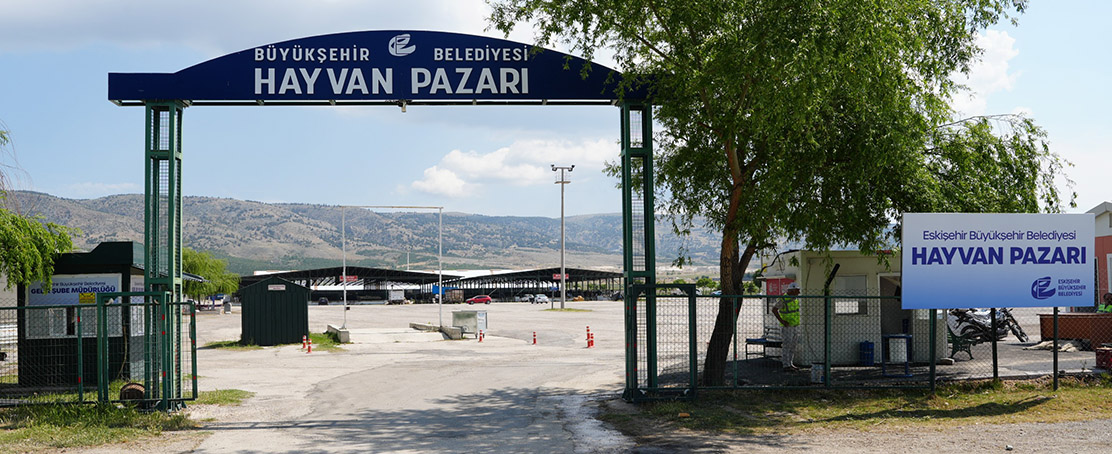 Hayvan Pazarı İçin Yer Satışları Başladı!
