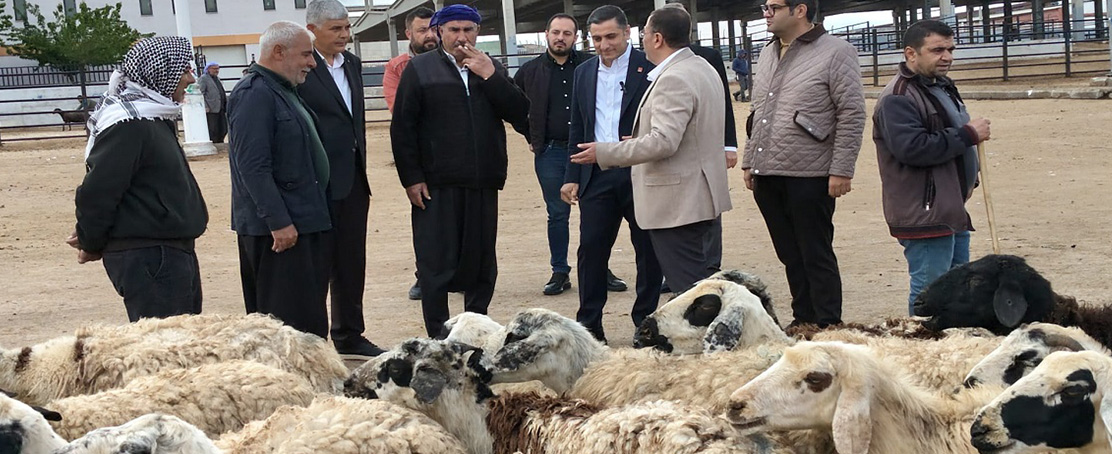 Karadağ: “Hayvan Pazarında Tablo Endişe Verici”!