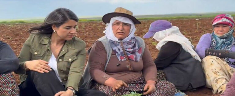 Mevsimlik Tarım İşçisi Kadınların Yaşadığı Sorunlar Vekil Ayan Tarafından Meclis’e Taşındı!