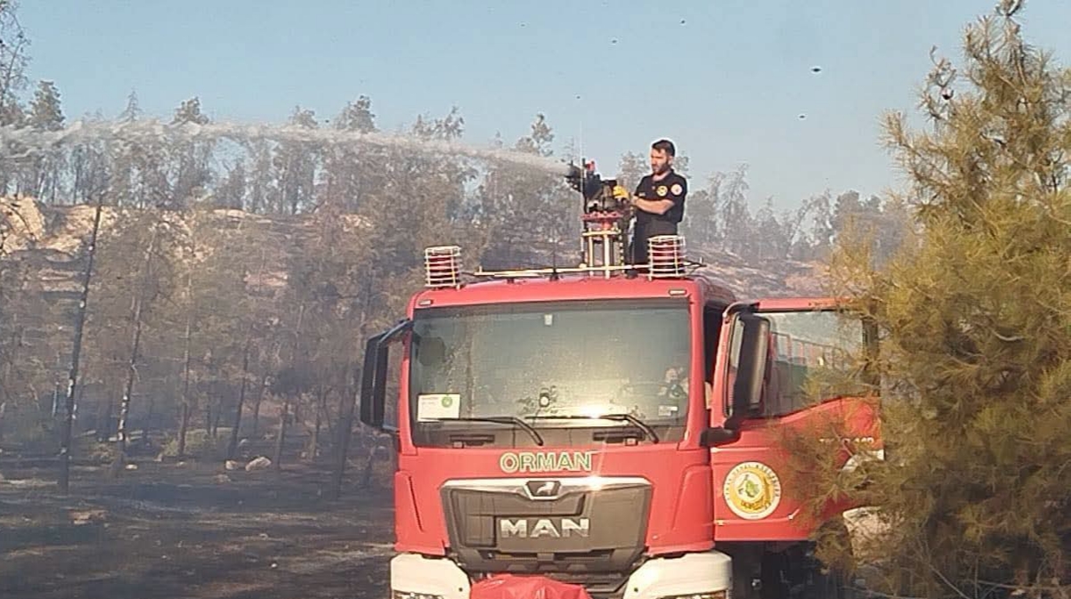 GAP Vadisi Ormanlık Alanında Yangın