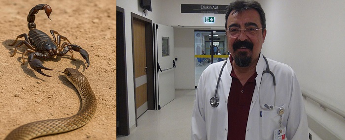 Uzmandan Yılan Sokmalarına Karşı Hayati Uyarılar!