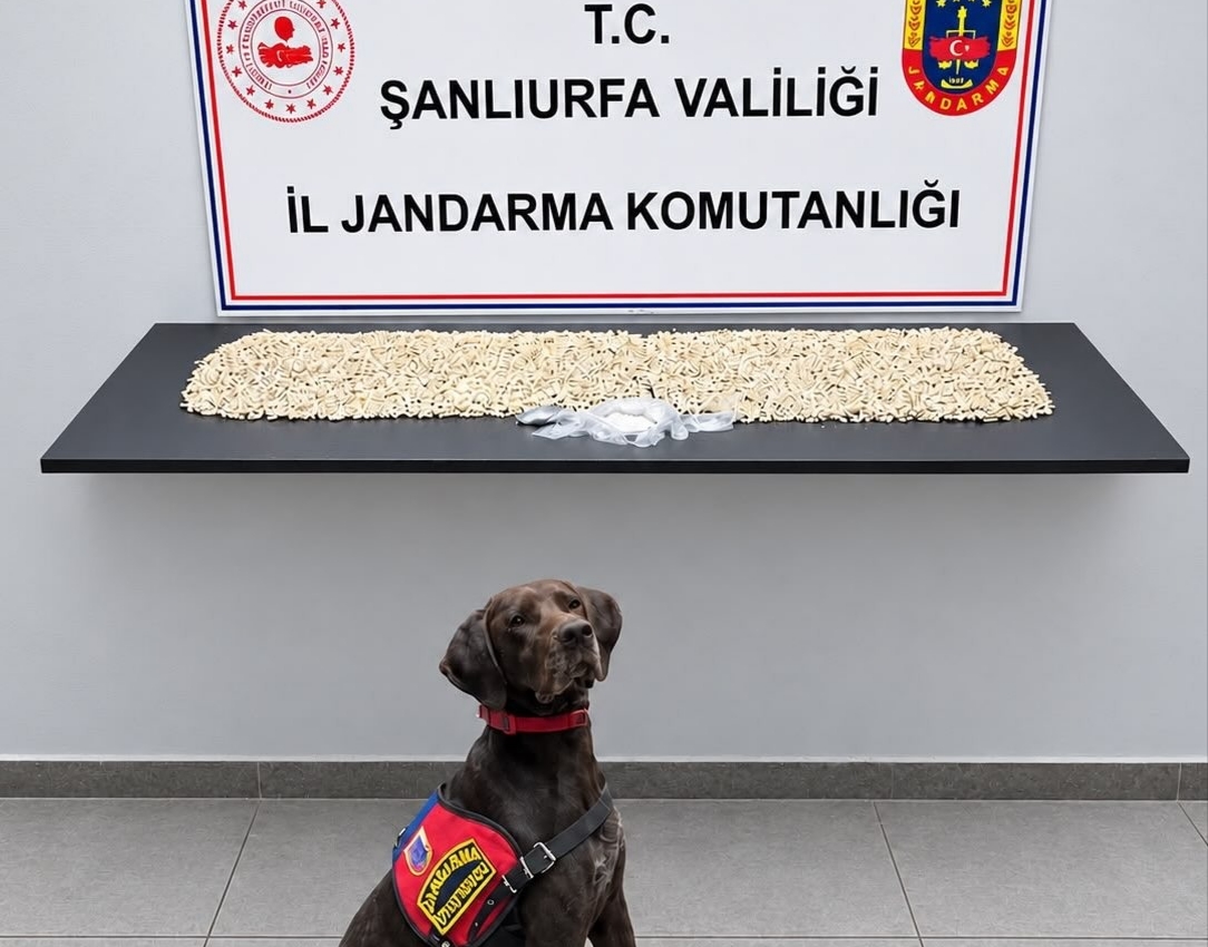 uyuşturucu operasyonu: 14 bin 410 Captagon ele geçirildi